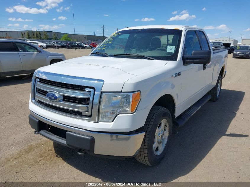 2013 Ford F150 Super Cab VIN: 1FTFX1EF7DFC07965 Lot: 12022647