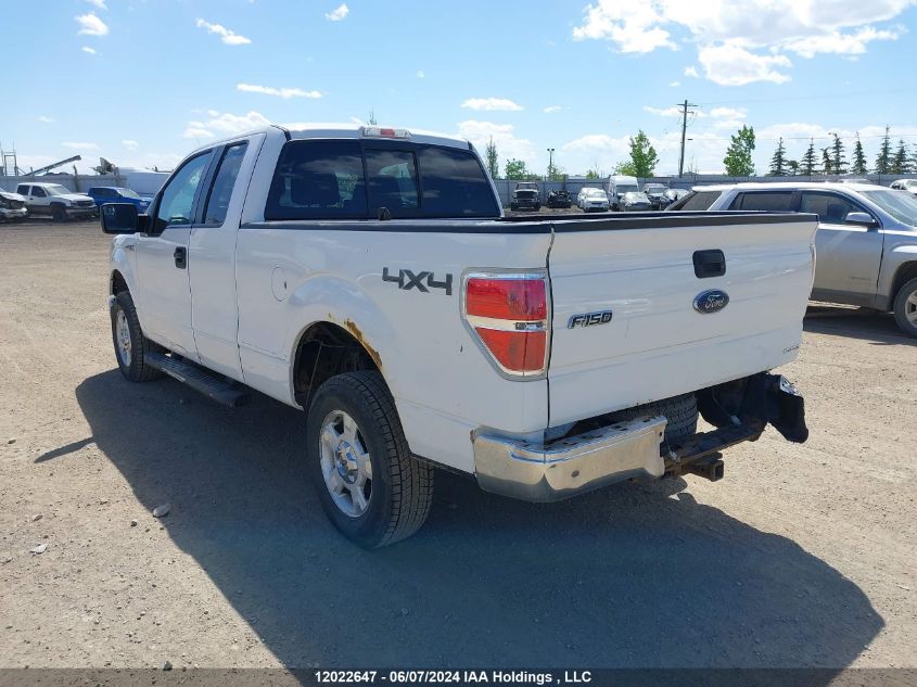 2013 Ford F150 Super Cab VIN: 1FTFX1EF7DFC07965 Lot: 12022647