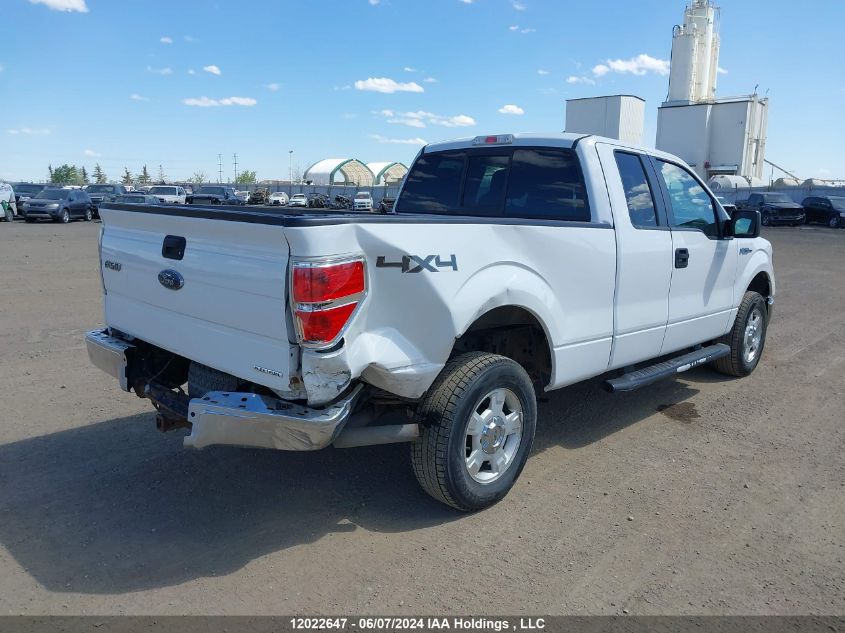 2013 Ford F150 Super Cab VIN: 1FTFX1EF7DFC07965 Lot: 12022647