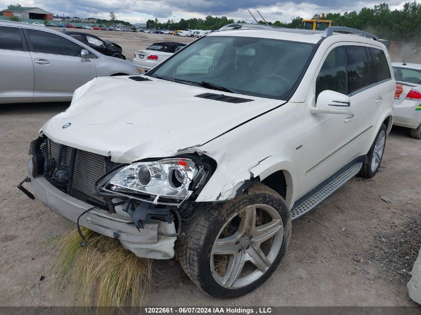 2011 Mercedes-Benz Gl-Class VIN: 4JGBF2FE6BA696541 Lot: 12022661