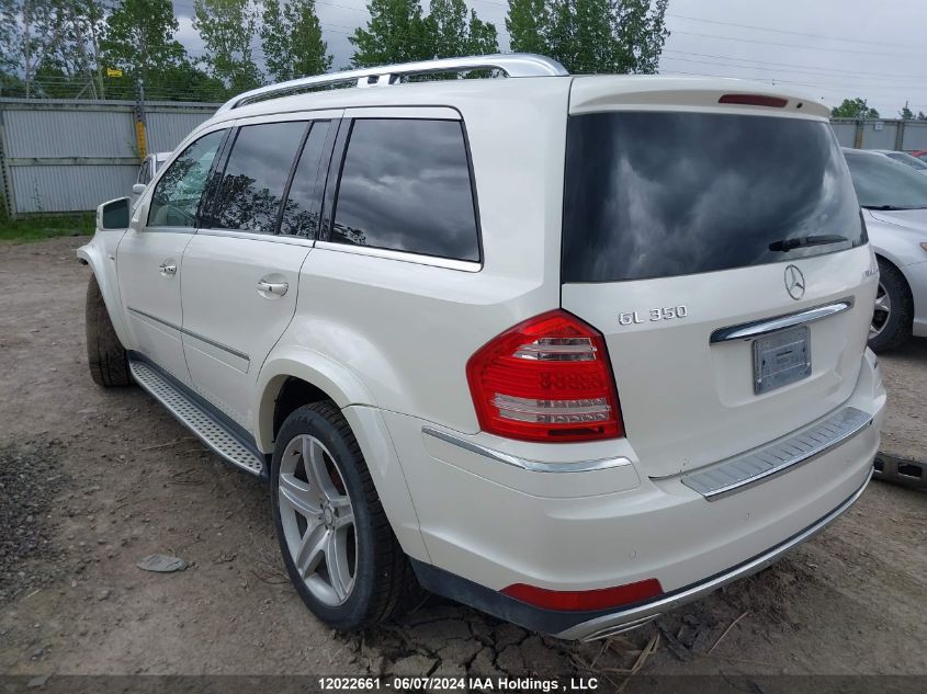 2011 Mercedes-Benz Gl-Class VIN: 4JGBF2FE6BA696541 Lot: 12022661