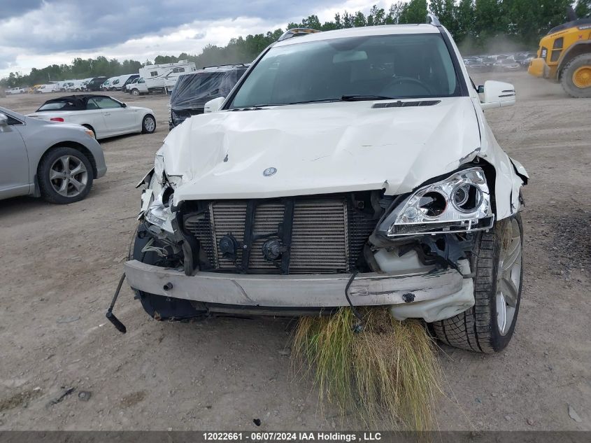 2011 Mercedes-Benz Gl-Class VIN: 4JGBF2FE6BA696541 Lot: 12022661