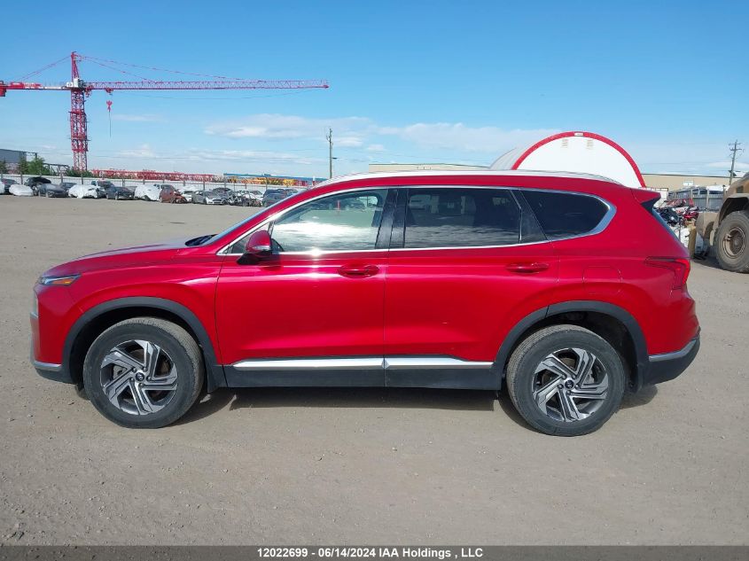 2021 Hyundai Santa Fe Sel VIN: 5NMS3DAJ5MH366847 Lot: 12022699