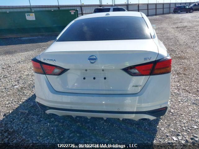 2020 Nissan Altima Sv VIN: 1N4BL4DW1LN308524 Lot: 12022726