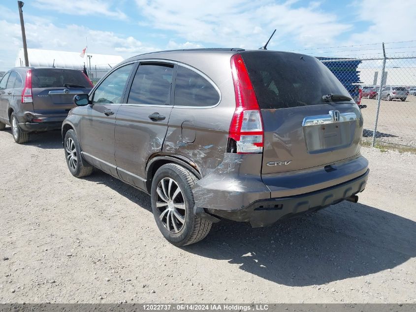 2009 Honda Cr-V VIN: 5J6RE485X9L814050 Lot: 12022737