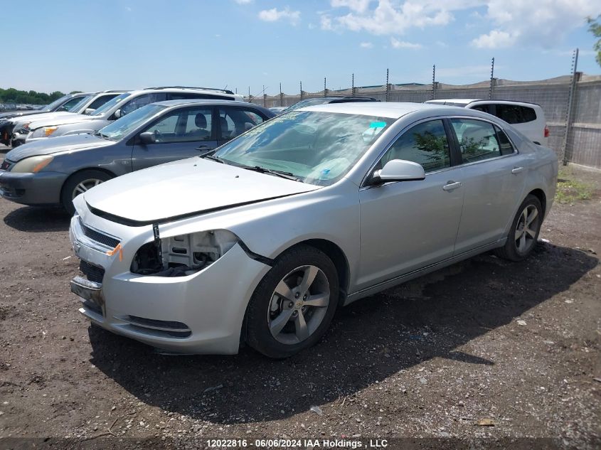 2011 Chevrolet Malibu VIN: 1G1ZC5EU0BF199745 Lot: 12022816