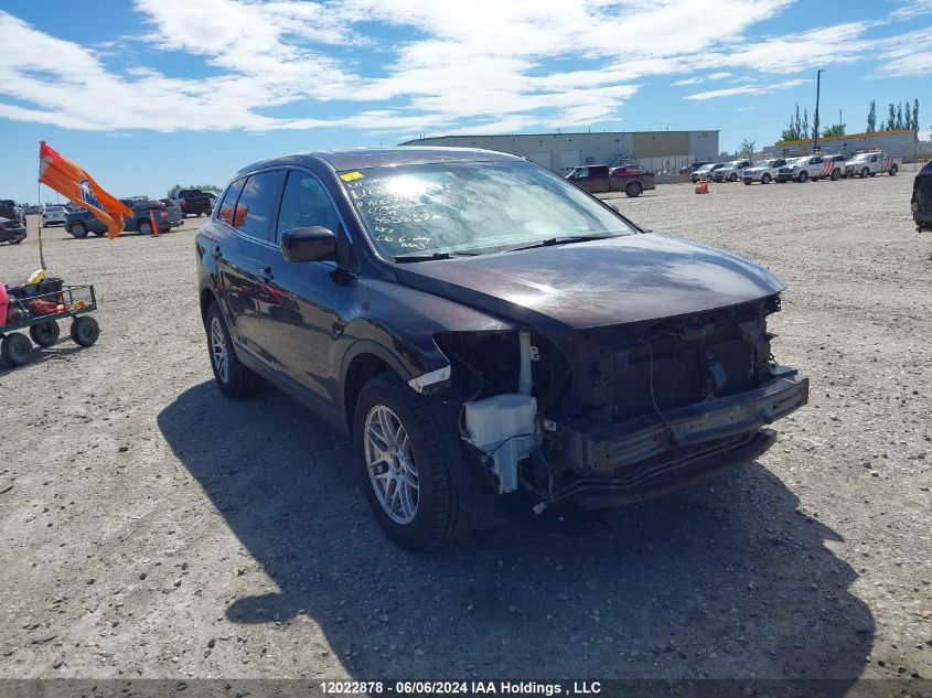 2007 Mazda Cx-9 VIN: JM3TB28Y870105917 Lot: 12022878