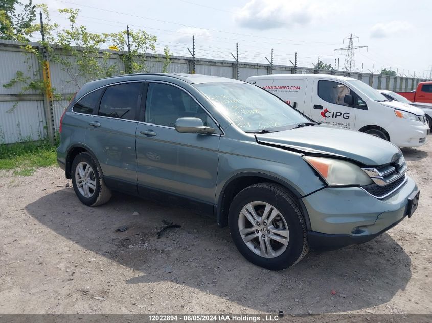 2010 Honda Cr-V VIN: 5J6RE3H58AL800906 Lot: 12022894