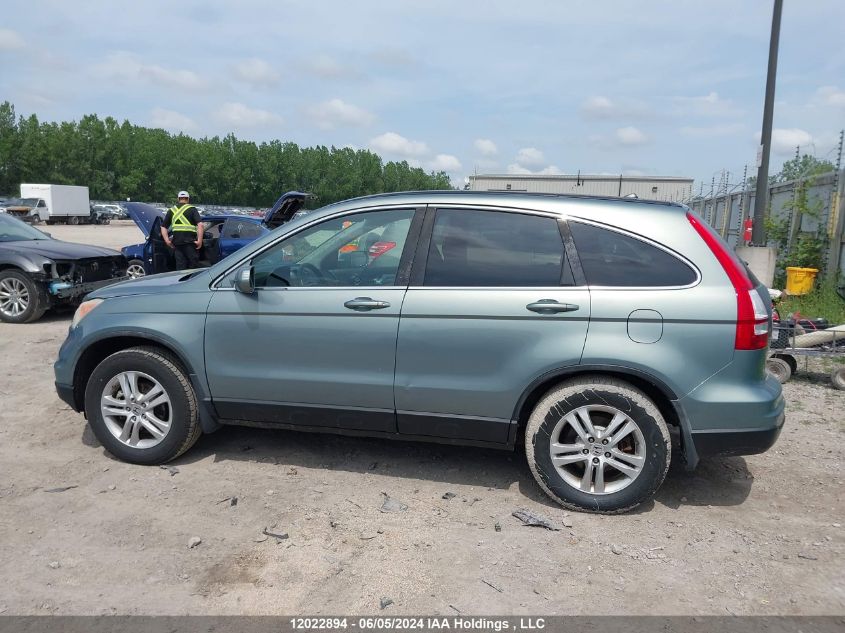 2010 Honda Cr-V VIN: 5J6RE3H58AL800906 Lot: 12022894