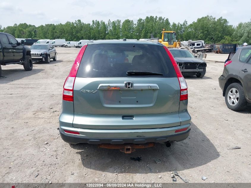 2010 Honda Cr-V VIN: 5J6RE3H58AL800906 Lot: 12022894