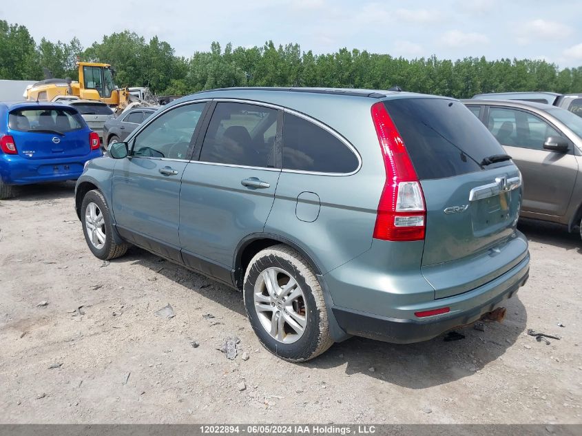 2010 Honda Cr-V VIN: 5J6RE3H58AL800906 Lot: 12022894