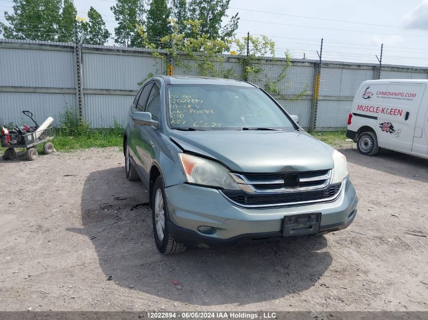 2010 Honda Cr-V VIN: 5J6RE3H58AL800906 Lot: 12022894