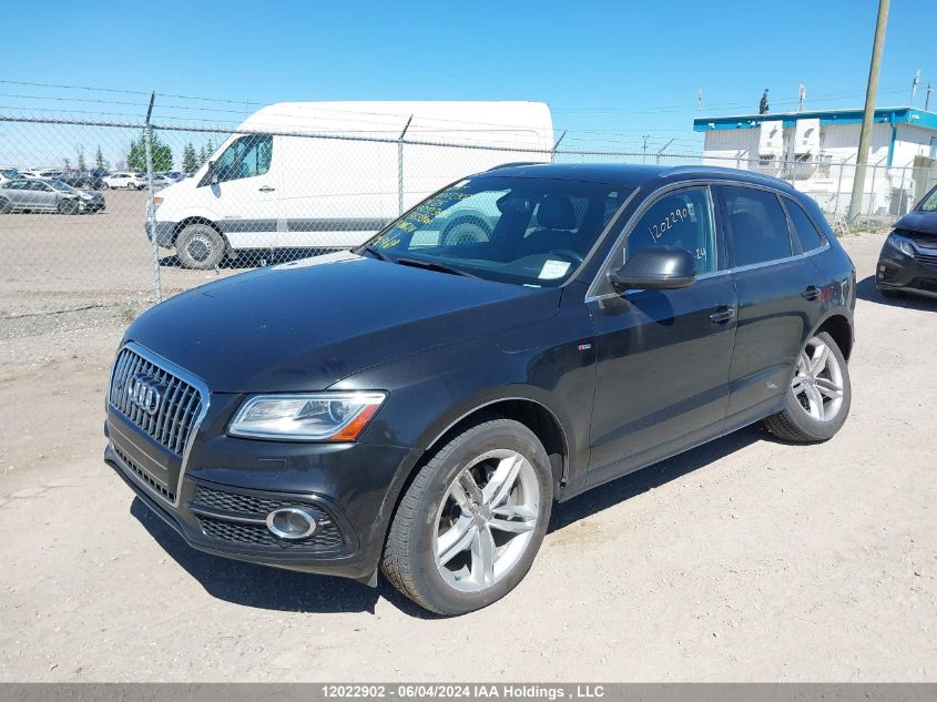 2014 Audi Q5 VIN: WA1WFCFP0EA092365 Lot: 12022902