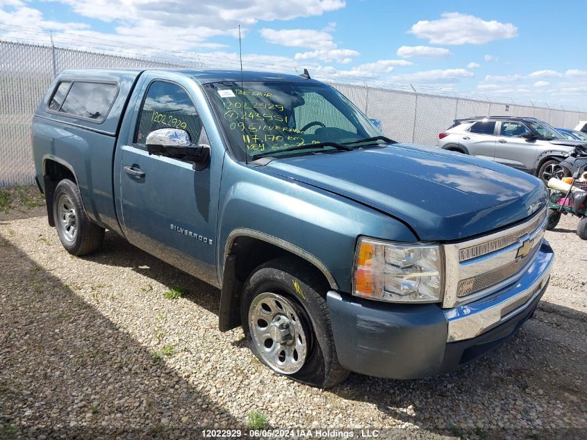2009 Chevrolet Silverado C1500 VIN: 1GCEC14C59Z243951 Lot: 12022929