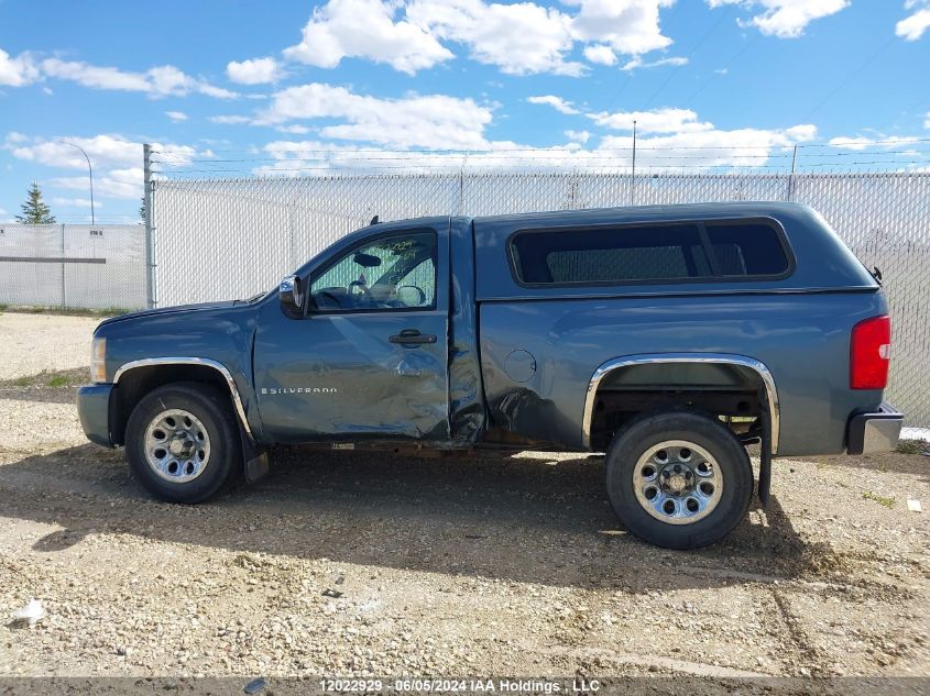 2009 Chevrolet Silverado C1500 VIN: 1GCEC14C59Z243951 Lot: 12022929