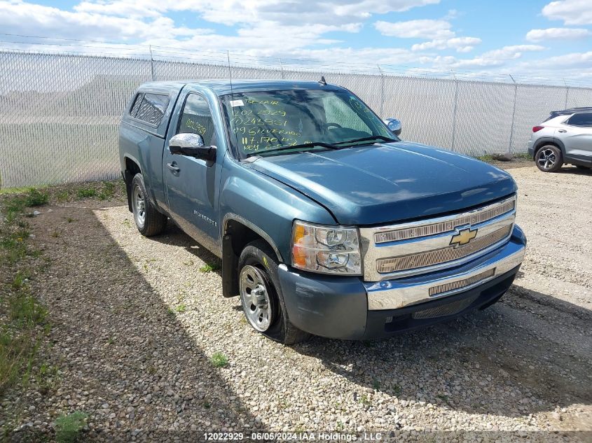 2009 Chevrolet Silverado C1500 VIN: 1GCEC14C59Z243951 Lot: 12022929