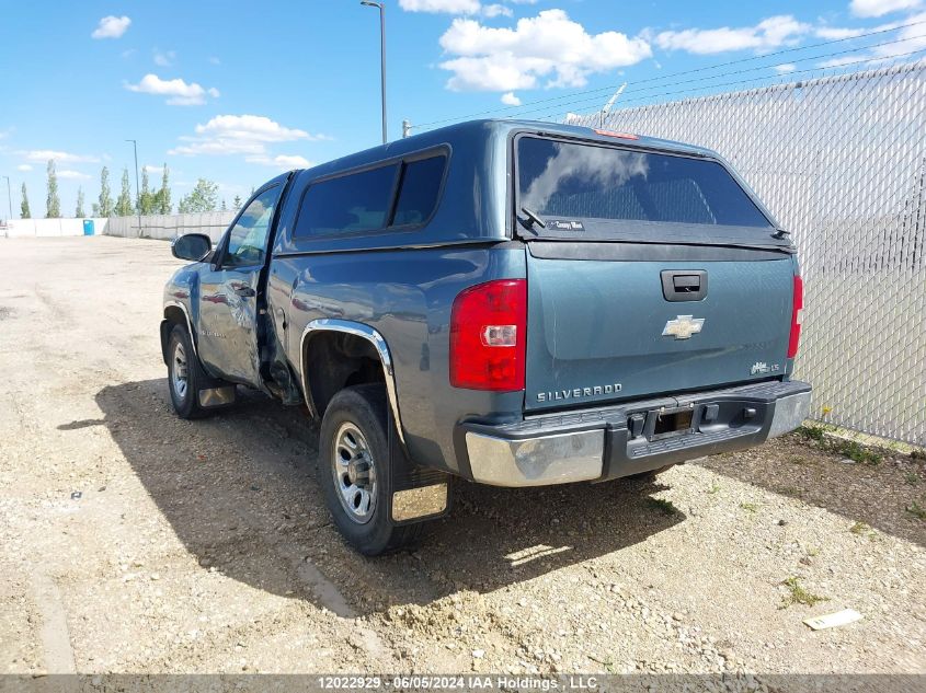 2009 Chevrolet Silverado C1500 VIN: 1GCEC14C59Z243951 Lot: 12022929