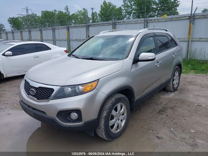 2013 Kia Sorento Lx VIN: 5XYKTDA22DG359535 Lot: 12022976