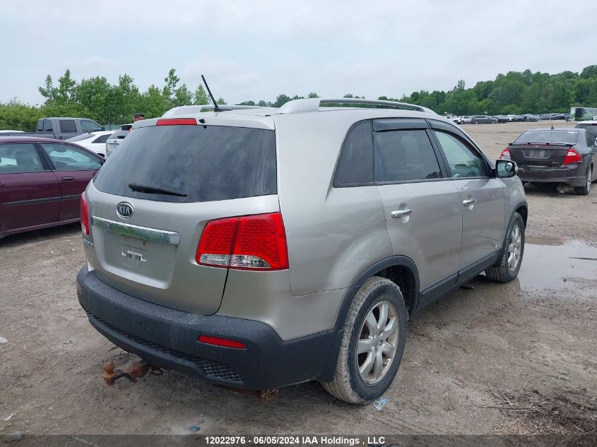 2013 Kia Sorento Lx VIN: 5XYKTDA22DG359535 Lot: 12022976