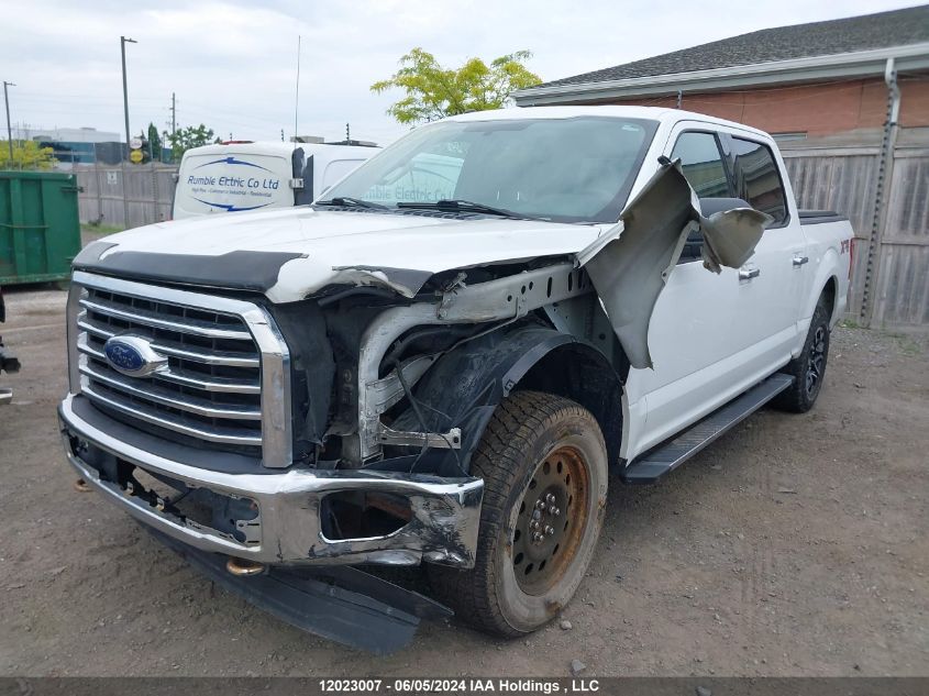 2016 Ford F-150 Xlt VIN: 1FTEW1EF9GFD02739 Lot: 12023007