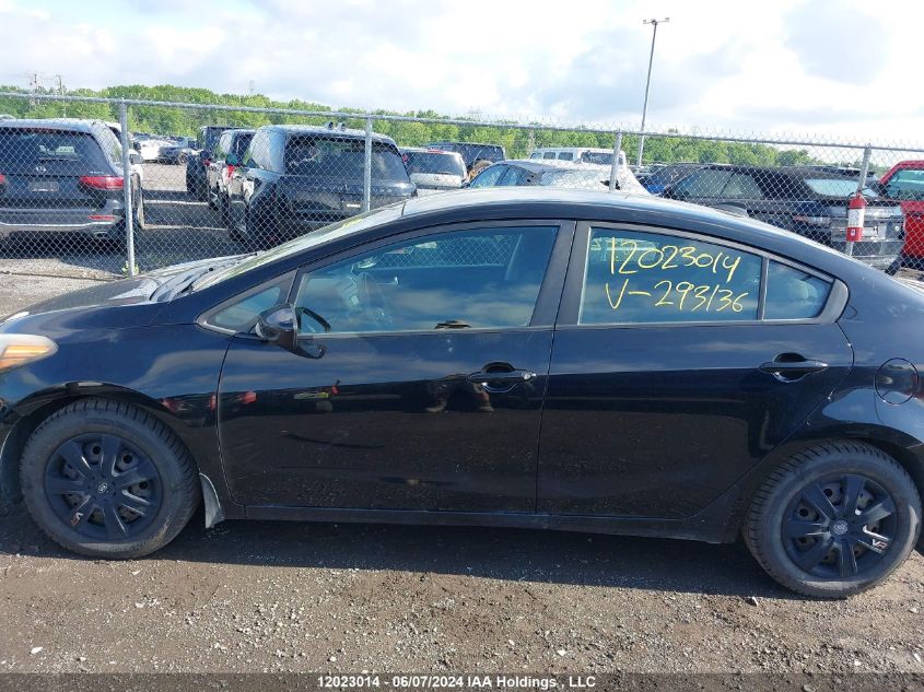 2015 Kia Forte VIN: KNAFK4A68F5293136 Lot: 12023014