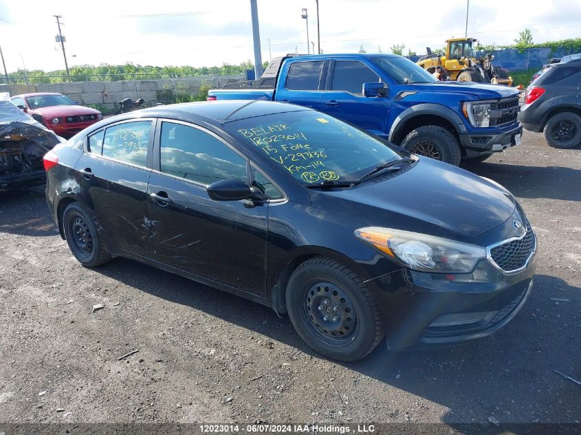 2015 Kia Forte VIN: KNAFK4A68F5293136 Lot: 12023014