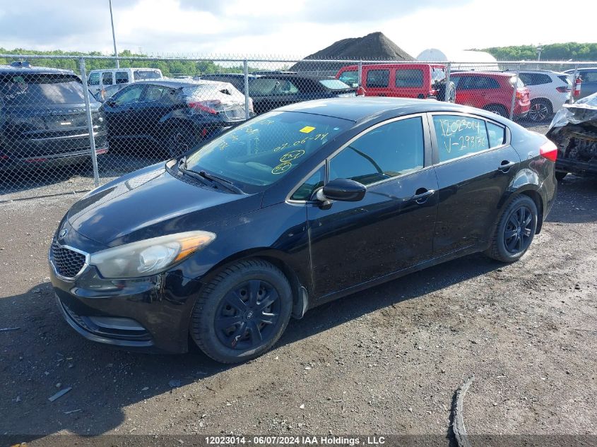 2015 Kia Forte VIN: KNAFK4A68F5293136 Lot: 12023014