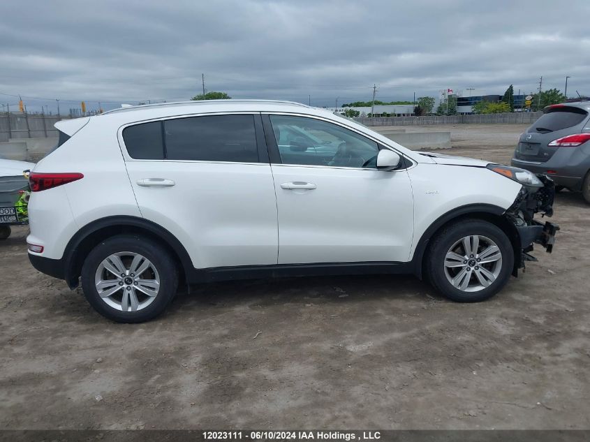 2019 Kia Sportage Lx VIN: KNDPMCAC7K7497300 Lot: 12023111