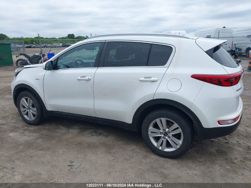 2019 Kia Sportage Lx VIN: KNDPMCAC7K7497300 Lot: 12023111