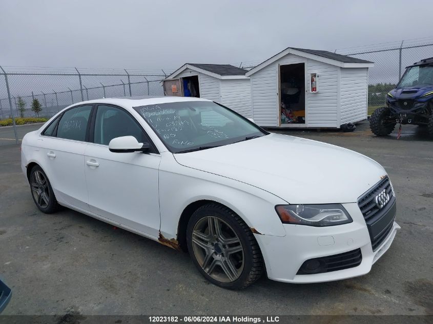 2011 Audi A4 VIN: WAUFFCFL3BN039969 Lot: 12023182