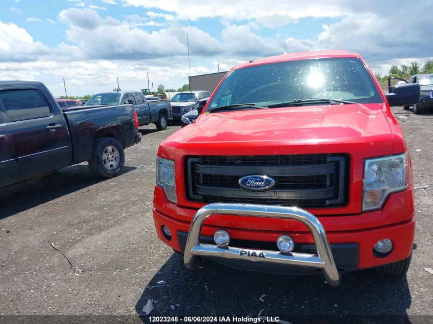 2013 Ford F150 VIN: 1FTMF1EM4DKD43955 Lot: 12023248