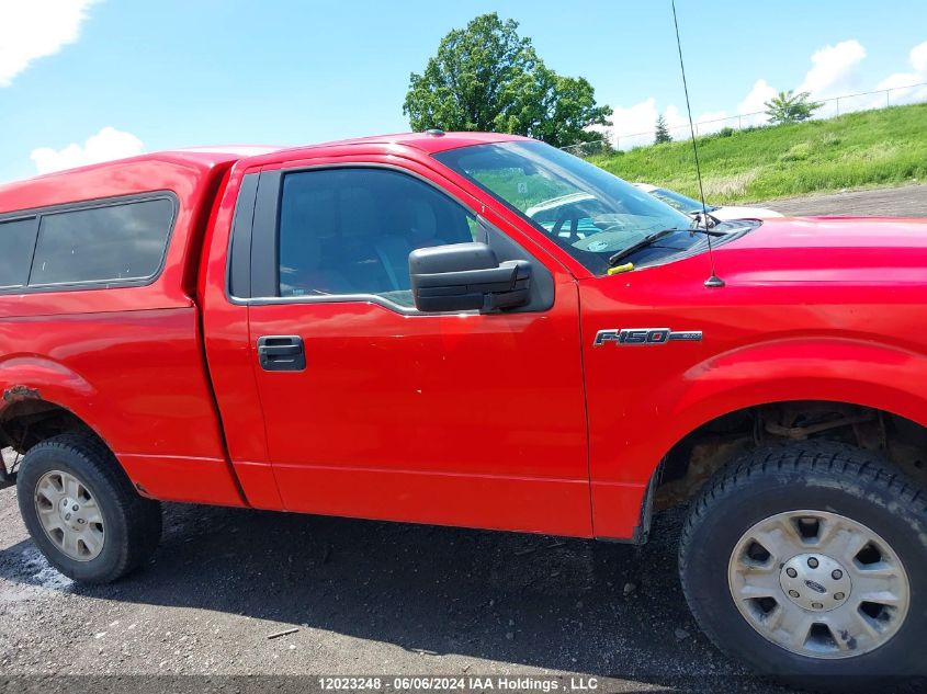 2013 Ford F150 VIN: 1FTMF1EM4DKD43955 Lot: 12023248