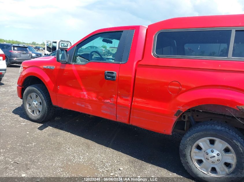 2013 Ford F150 VIN: 1FTMF1EM4DKD43955 Lot: 12023248