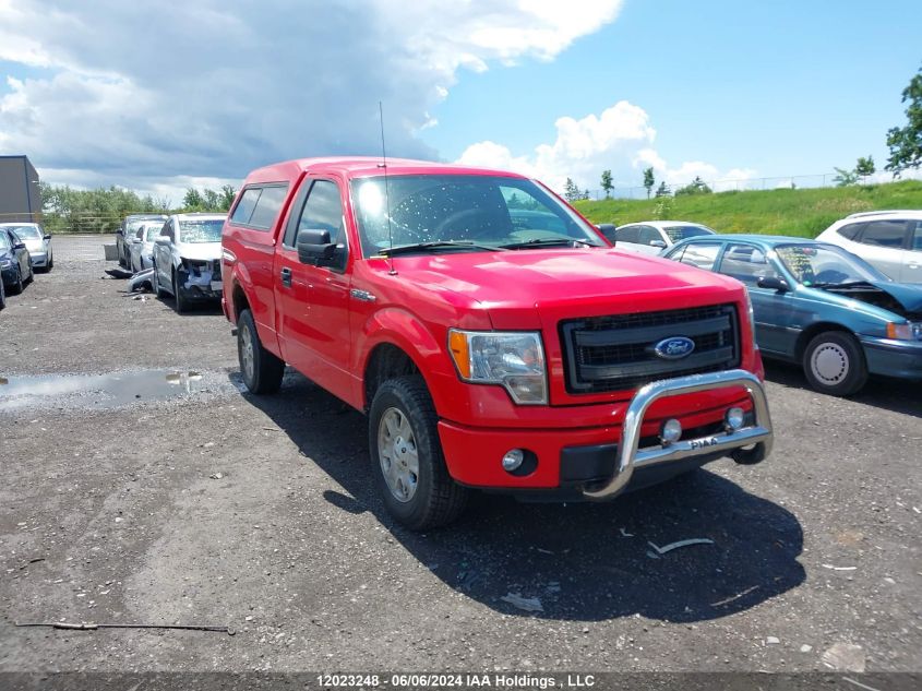 2013 Ford F150 VIN: 1FTMF1EM4DKD43955 Lot: 12023248