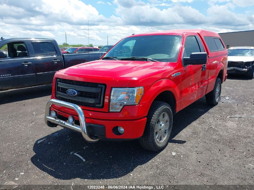 2013 Ford F150 VIN: 1FTMF1EM4DKD43955 Lot: 12023248