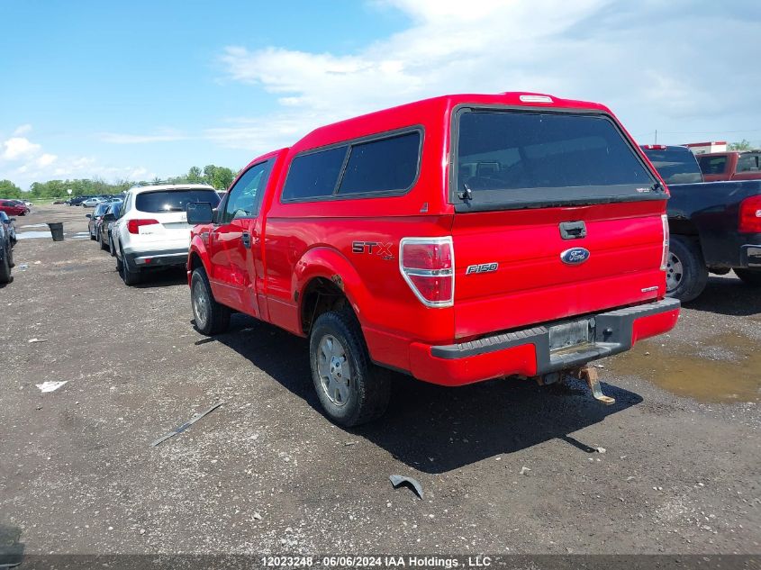 2013 Ford F150 VIN: 1FTMF1EM4DKD43955 Lot: 12023248