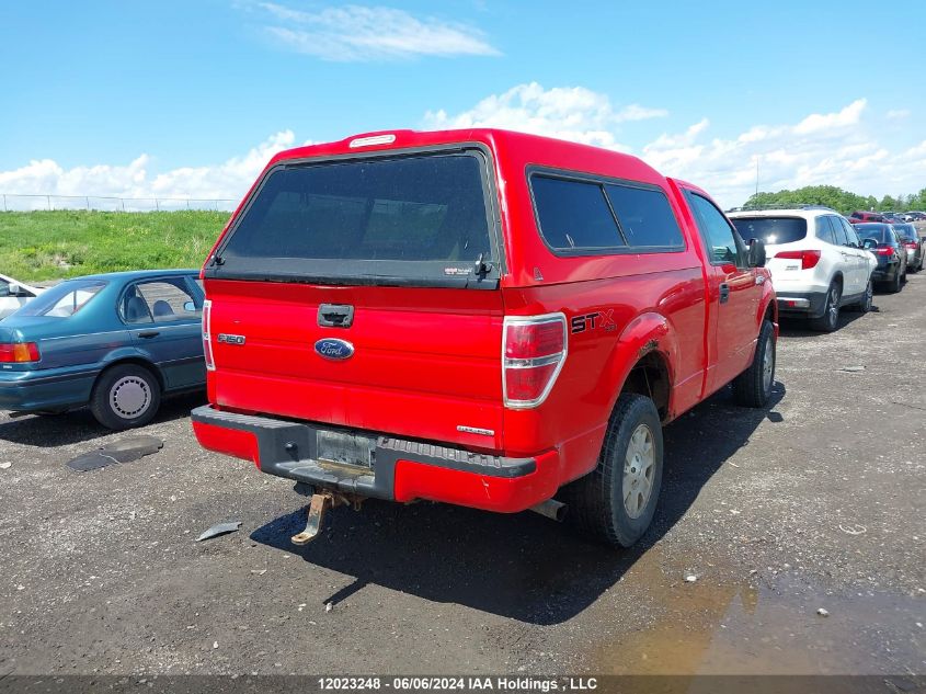 2013 Ford F150 VIN: 1FTMF1EM4DKD43955 Lot: 12023248