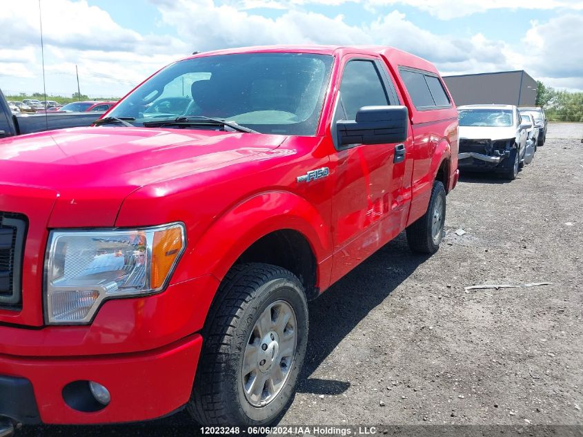 2013 Ford F150 VIN: 1FTMF1EM4DKD43955 Lot: 12023248