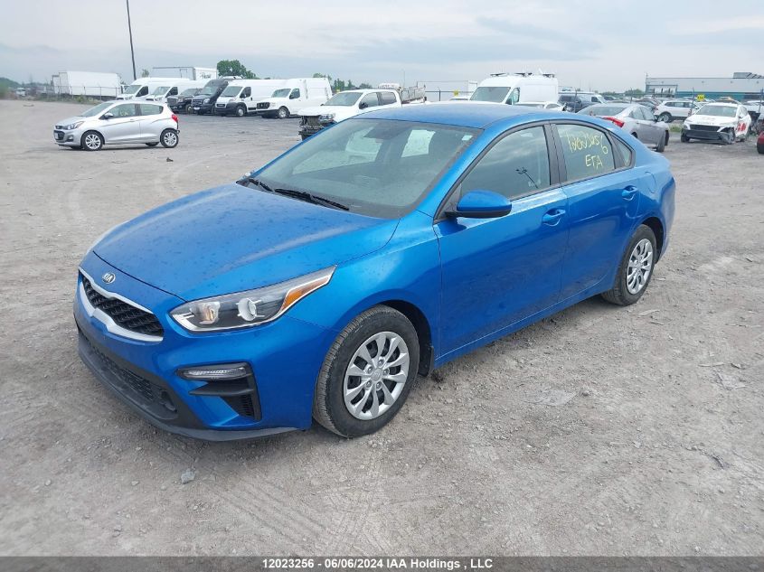 2021 Kia Forte VIN: 3KPF24AD7ME365379 Lot: 12023256