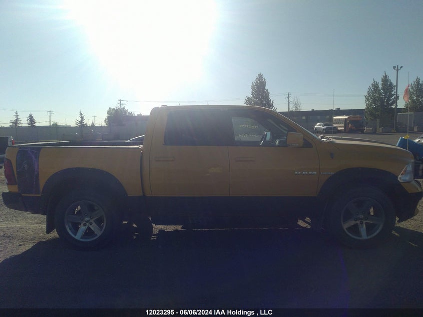 2009 Dodge Ram 1500 VIN: 1D3HV13T29S797876 Lot: 12023295