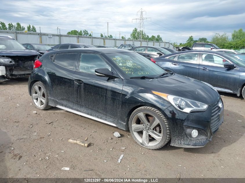 2013 Hyundai Veloster Turbo VIN: KMHTC6AE8DU087299 Lot: 12023297