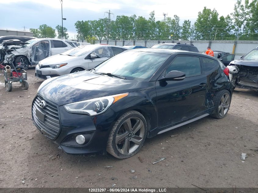 2013 Hyundai Veloster Turbo VIN: KMHTC6AE8DU087299 Lot: 12023297