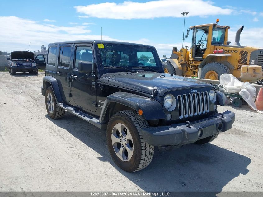 2017 Jeep Wrangler Unlimited Sahara VIN: 1C4BJWEG3HL703407 Lot: 12023307