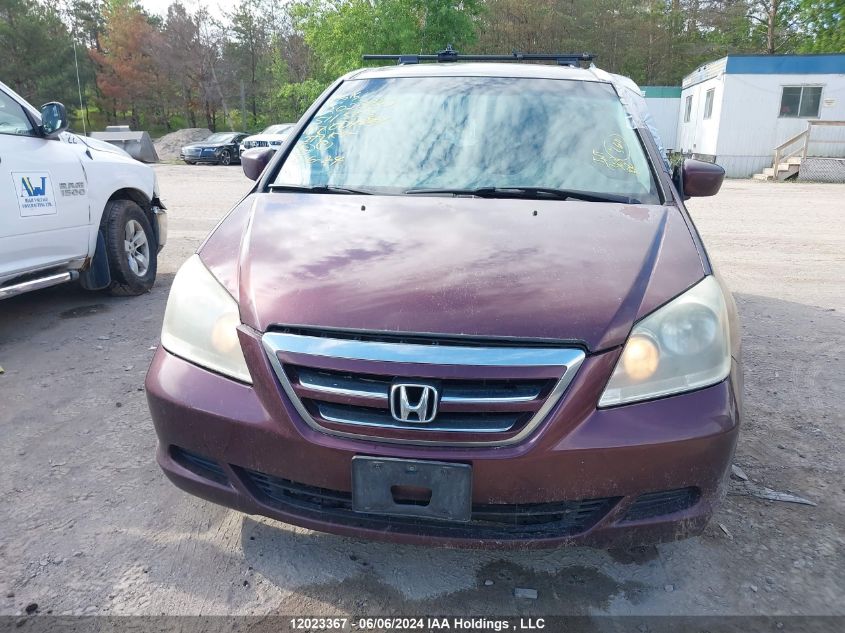 2007 Honda Odyssey Ex VIN: 5FNRL38407B511503 Lot: 12023367