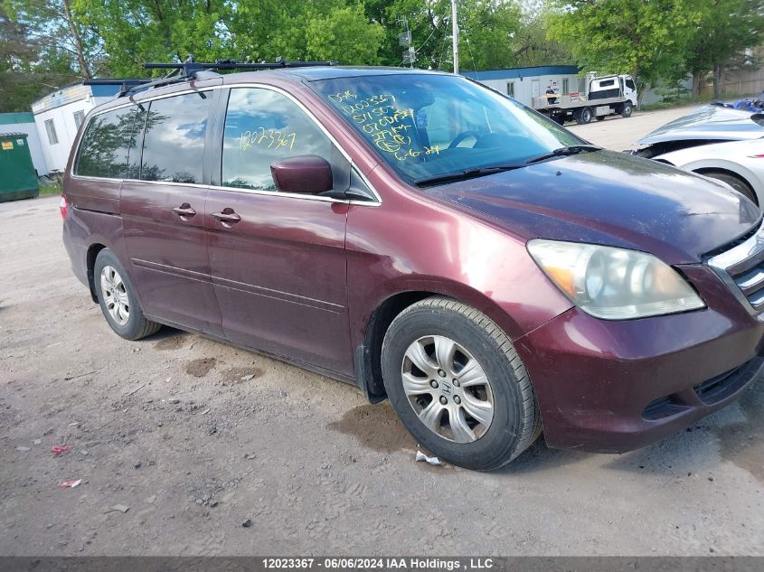 2007 Honda Odyssey Ex VIN: 5FNRL38407B511503 Lot: 12023367