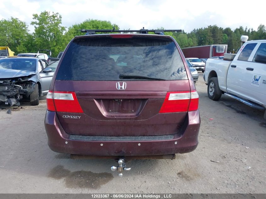 2007 Honda Odyssey Ex VIN: 5FNRL38407B511503 Lot: 12023367
