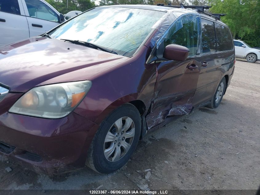 2007 Honda Odyssey Ex VIN: 5FNRL38407B511503 Lot: 12023367