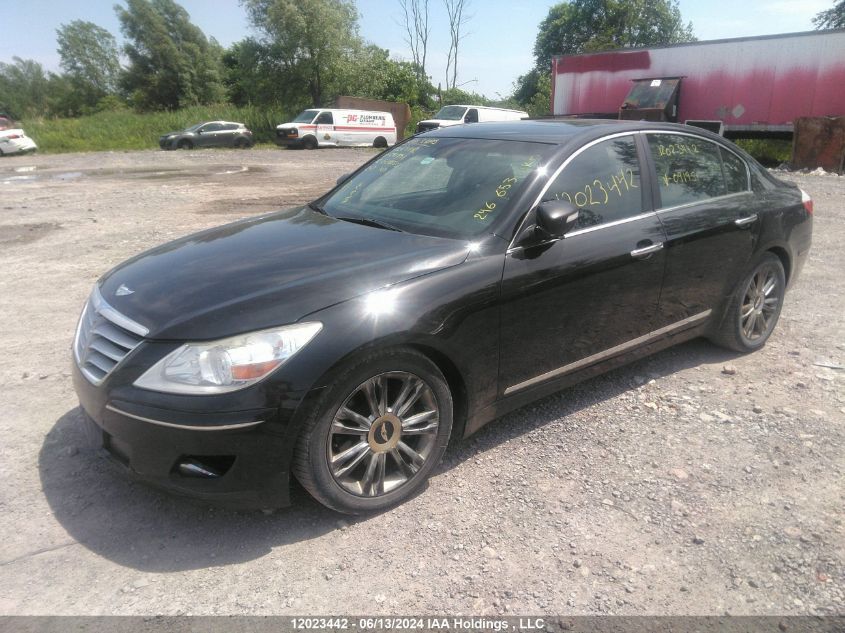 2010 Hyundai Genesis 4.6L VIN: KMHGC4DF9AU091951 Lot: 12023442