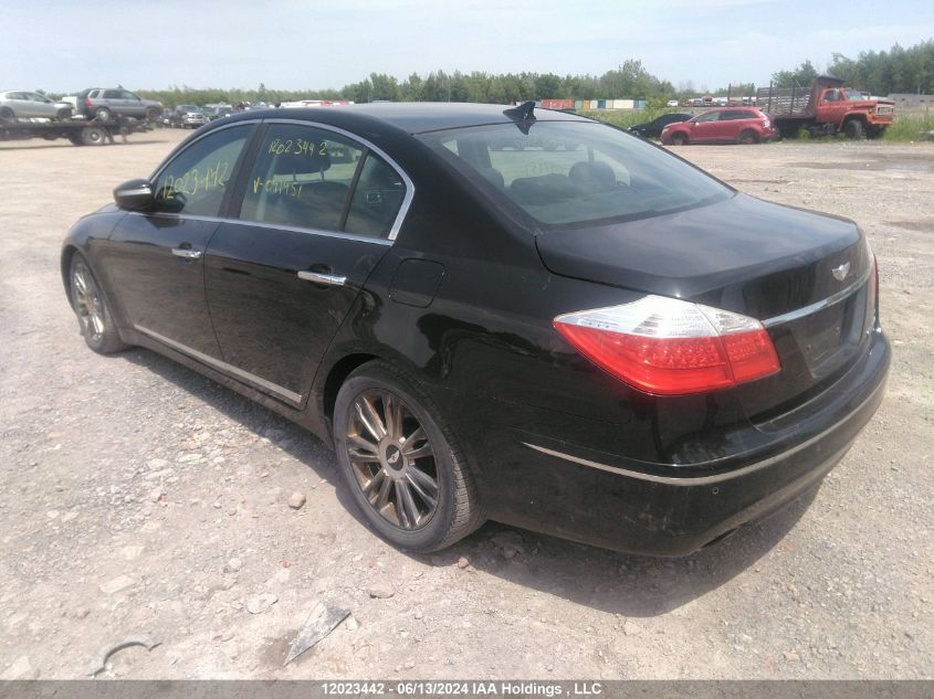 2010 Hyundai Genesis 4.6L VIN: KMHGC4DF9AU091951 Lot: 12023442