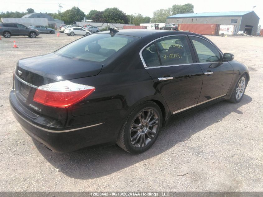 2010 Hyundai Genesis 4.6L VIN: KMHGC4DF9AU091951 Lot: 12023442